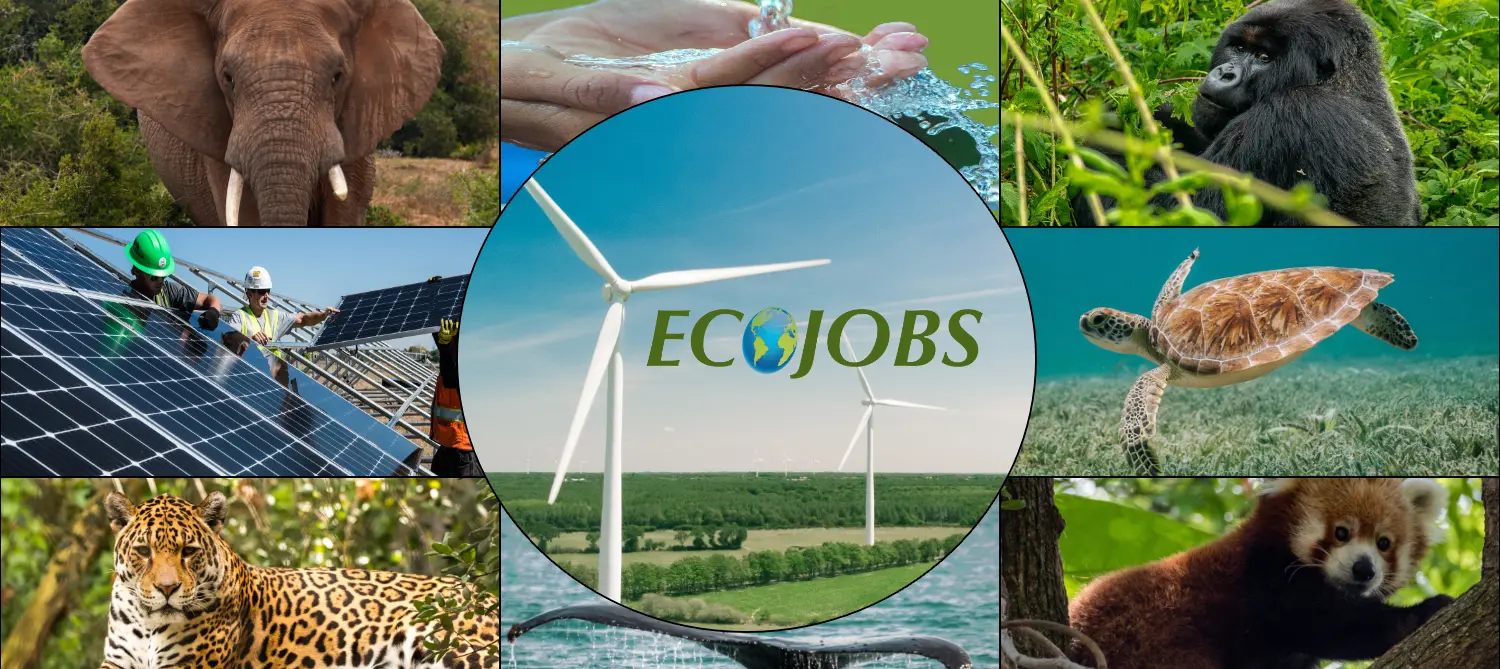 Environmental job boards with listings for sustainable careers